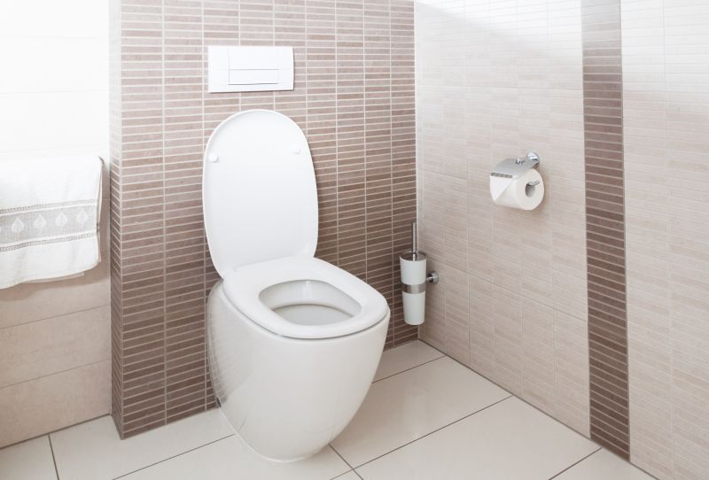 Toilet Installation Service detail